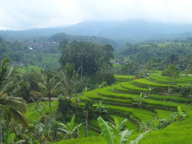 Jatiluwih Bali