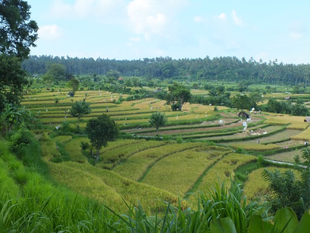 BALINESE LANDSCAPES