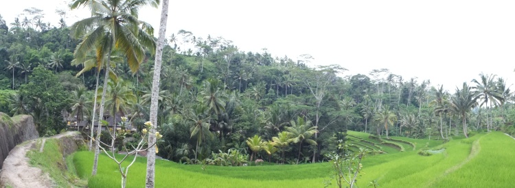 Gunung Kawi Bali