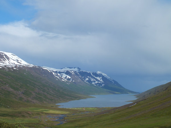 Mjoifjordur