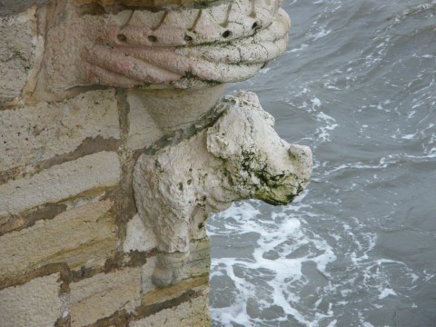 Lisboa Pilmeyer Rhinoceros Belem