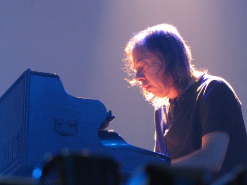 Steve Wilson Band 2013