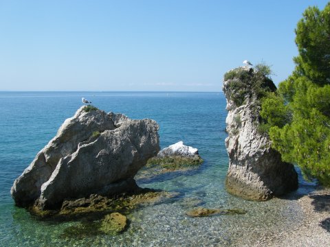 Trieste -  Luc Pilmeyer 